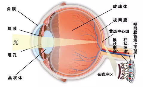 糖尿病黄斑水肿