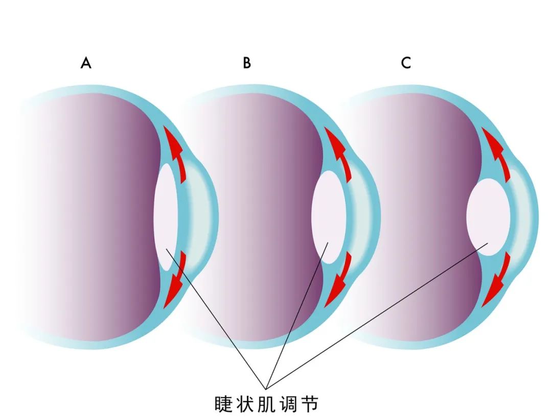 微信图片_20220520164329.jpg