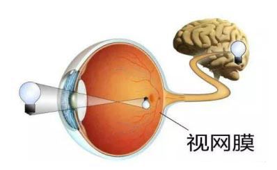 视网膜脱落怎么治疗？